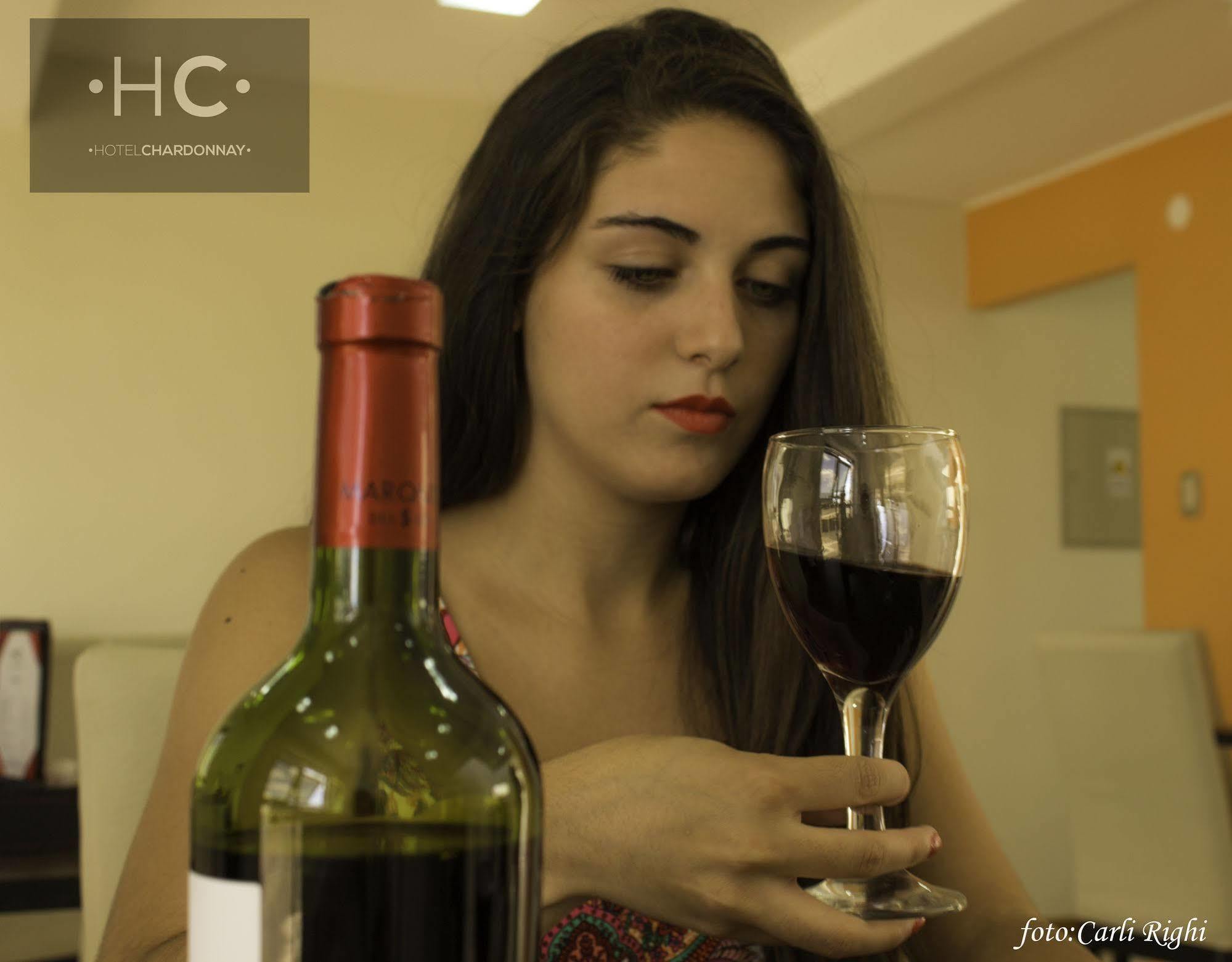 Hotel Chardonnay Tupungato Bagian luar foto